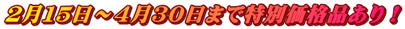 2月15日~4月30日まで特別価格品あり!